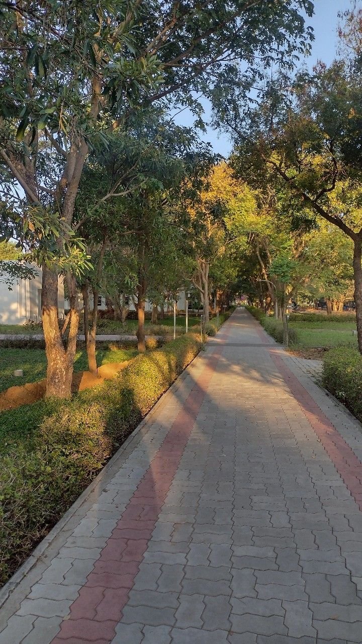 Concrete garden walkway